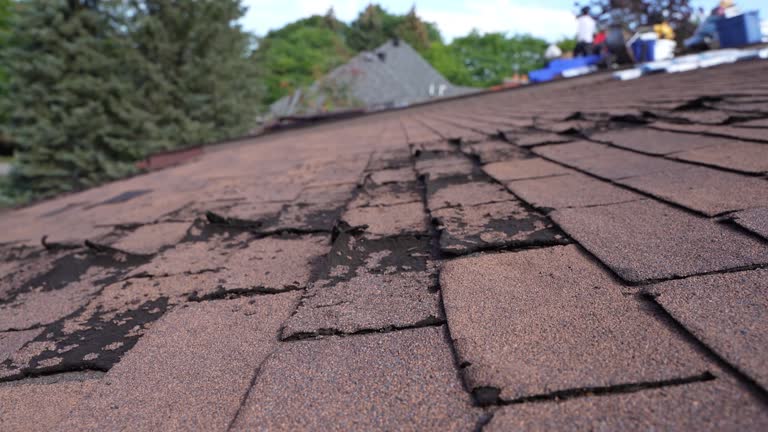 Best Green or Eco-Friendly Roofing Solutions  in Shafer, MN