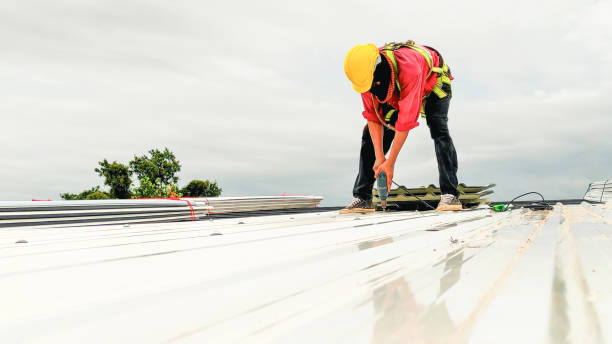 Best Wood Shake Roofing  in Shafer, MN