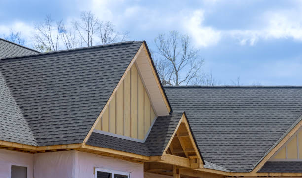 Best Solar Panel Roofing Installation  in Shafer, MN