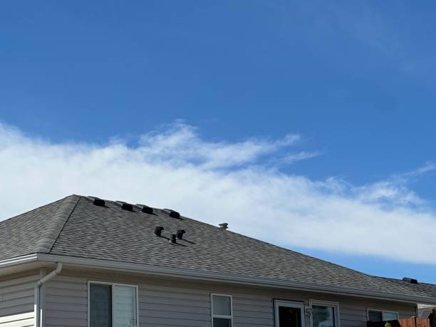 Best Roof Insulation Installation  in Shafer, MN